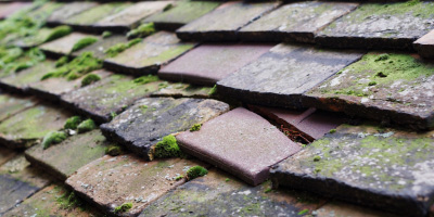 Kilgwrrwg Common roof repair costs